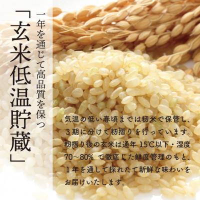 ふるさと納税 大潟村 予約受付開始!秋田県産　あきたこまち30kg　1等　玄米【令和7年産】《11月初旬より発送》 |  | 03