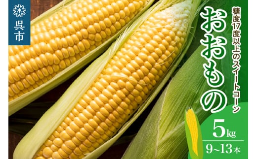 洋菓子素材工房ぴゅあハウス 【品種 おおもの】黄色 とうもろこし 箱込み 約5kg 9本～13本≪6月中旬ごろより順次発送開始≫