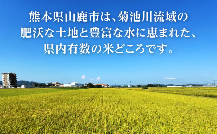 【先行予約】【6回定期便】くまさんの輝き 白米  5kg 山鹿市産 【奥村果実園】 [ZFK020]