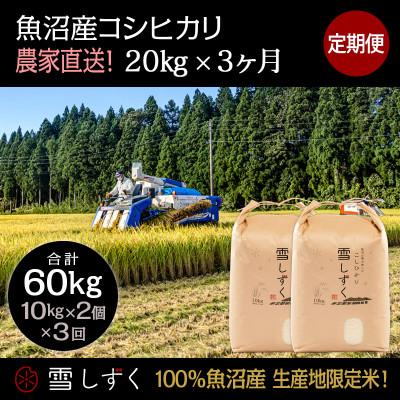 ふるさと納税 十日町市 【毎月定期便】中里地域限定!魚沼産コシヒカリ20kg(10kg×2袋)×3回 合計60kg全3回