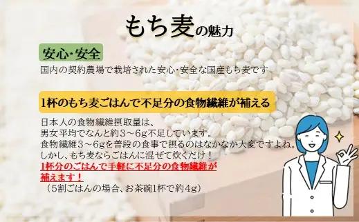 国産もち麦12kg《1kg×12個セット》雑穀 お米に混ぜて炊くだけ！小分けパック ダイエット 食物繊維  送料無料 No.138