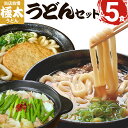 【ふるさと納税】うどん 極太 極太麺 3種うどんセット 食べ比べ 詰め合わせ もちもち 釜あげ 長い もつ鍋焼うどん 肉うどん 丸天うどん セット 九州産 小麦 急速冷凍 冷凍うどん おすすめ 福岡県 大木町 土俵うどん AS03 年末年始グルメ