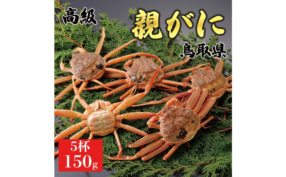 
            1062.【2025年11月発送】鳥取県産 特撰 親がに 姿【セコガニ】（なま）150g　5杯
          