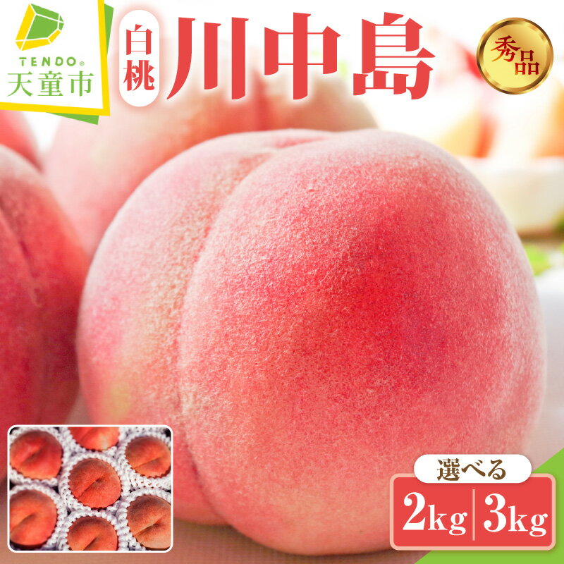 【ふるさと納税】もも ( 川中島白桃 ) 選べる 2kg / 3kg 先行予約 令和8年産 2026年産 川中島 白桃 桃 ピーチ peach 果物 くだもの フルーツ デザート 旬 冷蔵 ご家庭用 のし 贈答 ギフト プレゼント お取り寄せグルメ 産地直送 送料無料 【 山形県 天童市 】