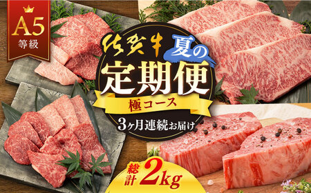 【先行予約】【3回定期便】佐賀牛 夏の定期便極コース NAB105 牛肉 定期便