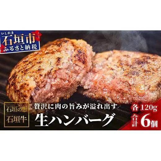 石垣の恵 石垣牛 生ハンバーグ6個【合計720g】KB-101