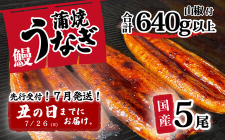 【土用の丑の日お届け】 国産 うなぎ 蒲焼き 5尾 640g以上