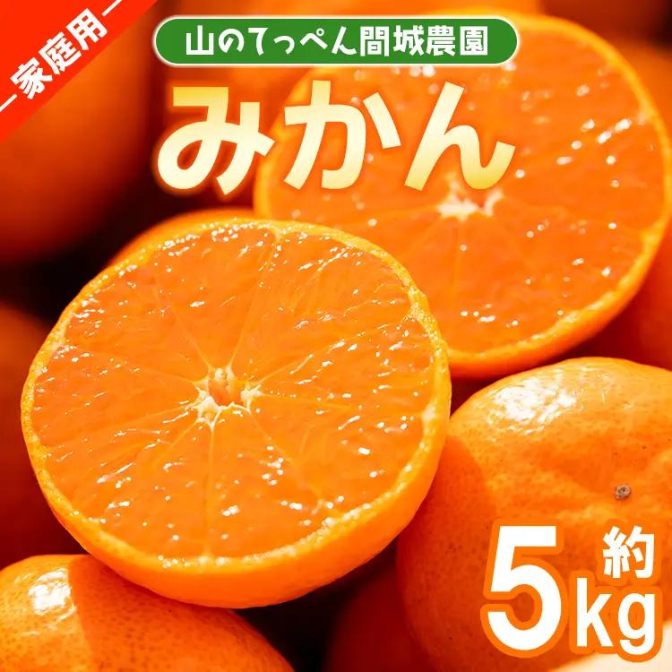 家庭用 温州みかん 5kg 山のてっぺん間城農園のみかん【果物 果物 果物 果物 果物】 ms-0084