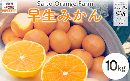 【先行予約】Saito Orange Farmの早生（わせ）みかん10kg （2026年11月下旬頃より順次発送予定） IKTAQ021