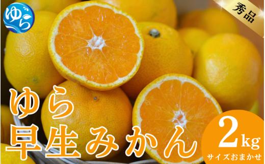 秀品 ゆら早生みかん 2kg サイズおまかせ（2S～L） / 蜜柑 温州ミカン 柑橘 産地直送 由良町 和歌山 ※10月中旬頃より11月上旬頃に順次発送予定【kjen003-r-2】