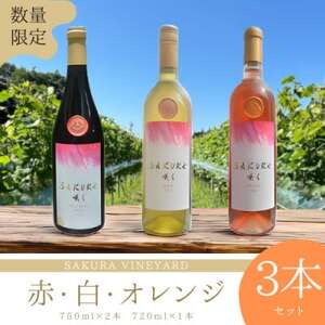 【数量限定】佐倉産初!ワイン　厳選3本セット　赤・白・オレンジワイン【配送不可地域：離島】【1637172】