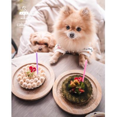 ふるさと納税 筑前町 ペットフード【贈り物】【お誕生日】鹿肉のタルトケーキ風(12cm)〜 green 〜 |  | 01