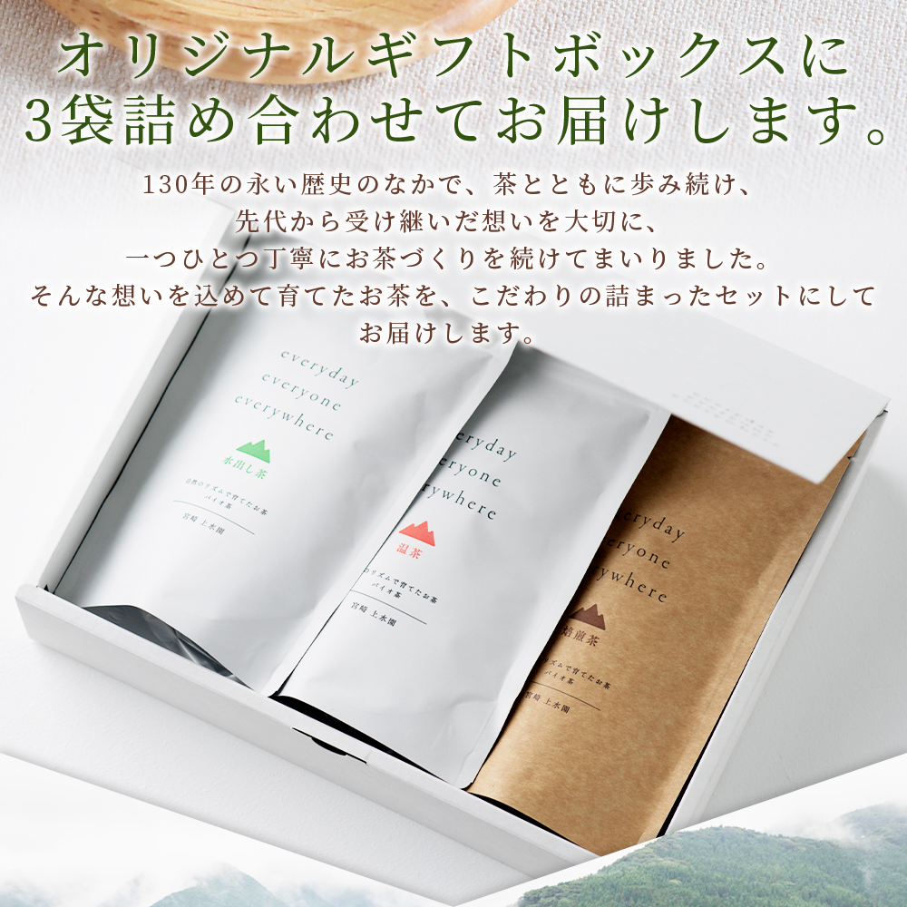 ＜everyday 3袋セット Sサイズ＞お茶 水出し茶 温茶 焙煎茶 バイオ茶 飲み物 飲料 ギフトボックス 贈り物 贈答用 ギフト 結婚 出産 入学 お祝い お中元 お歳暮【MI783-km】【宮