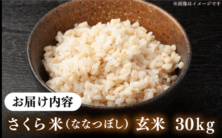 【令和7年産】 玄米 ななつぼし さくら米 30kg [AXAB036]