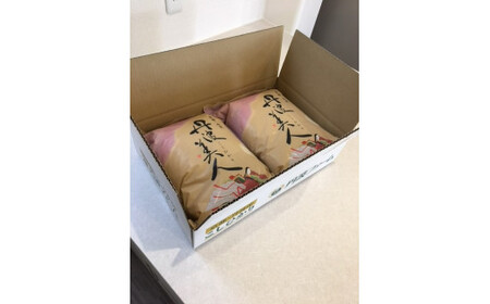 京都府産コシヒカリ「丹波美人」白米 10kg （5kg×2）お米 米 白米 精米 こしひかり 国産 京都 綾部