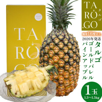 【ふるさと納税】TARUGO　贈答用ゴールドバレルパイン　1玉（1.3～1.5kg）2026年発送 糖度16度以上 パイン パインアップル パイナップル タルゴ タルゴゴールド 贈答用 化粧箱 贈り物 ゴールドバレル 国産パイン 甘い 香り 高品質 高級フルーツ 大玉 国産 やんばる 沖縄 東村