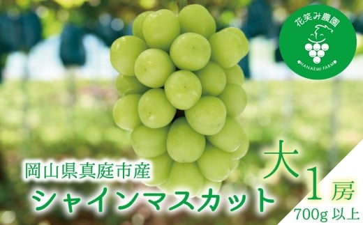 【2026年先行予約】花笑み農園の『シャインマスカット』700g以上（大１房）岡山 ぶどう シャインマスカット 真庭市 【hana080-01】