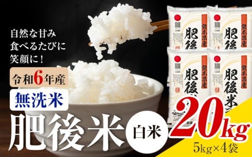 熊本県産 肥後米 無洗米 白米 20kg 1袋5kg 米 お米 令和6年産 九州産 熊本県産 送料無料【30日以内に出荷予定（土日祝除く）】 無洗米 白米 米