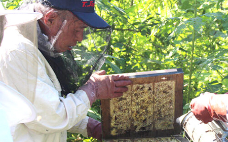 立山養蜂場 国産 百花 蜂蜜 500g はちみつ【一般社団法人クラッシーノこうし】[AYAB028]
