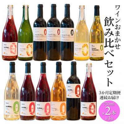ふるさと納税 境町 【3ヶ月定期便/毎月連続お届け】 ワイン おまかせ 飲み比べセット 750ml×2本 さかいまち