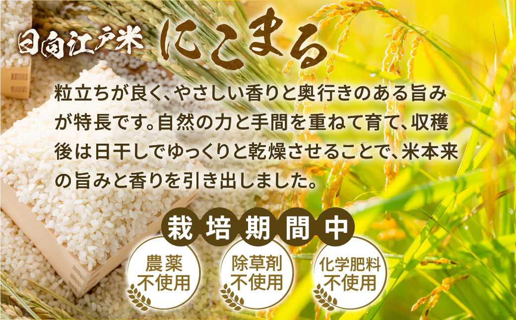 天日干しが引き出す お米の旨味 日向江戸米（にこまる）【玄米】計10kg 国産米 ブランド米 農薬不使用 化学肥料不使用 無農薬 ごはん ご飯 おにぎり お弁当 冷めても美味しい もっちり食感 和食 