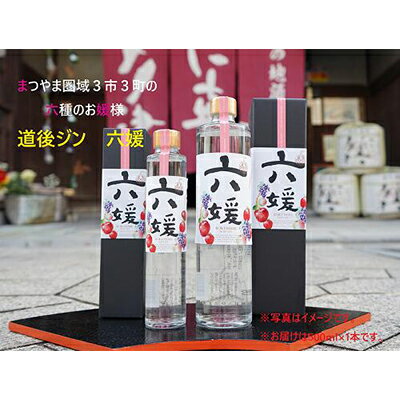 【ふるさと納税】水口酒造 道後ジン「六媛」500ml　クラフトジン スピリッツ 愛媛　 お酒 晩酌 家飲み 宅飲み 愛媛県産素材 ボタニカル フレッシュ 華やかな香り 香ばしい香り キレ のかな甘み
