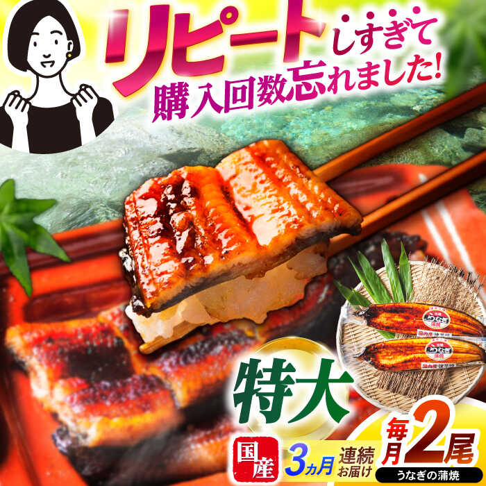 【ふるさと納税】【3回定期便】【諫早淡水】特大うなぎ蒲焼2尾 / 特大 うなぎ ウナギ 鰻 国産うなぎ 国産鰻 蒲焼き 蒲焼 かばやき うな重 うな丼 / 諫早市 / 諫早淡水株式会社 [AHAT054]