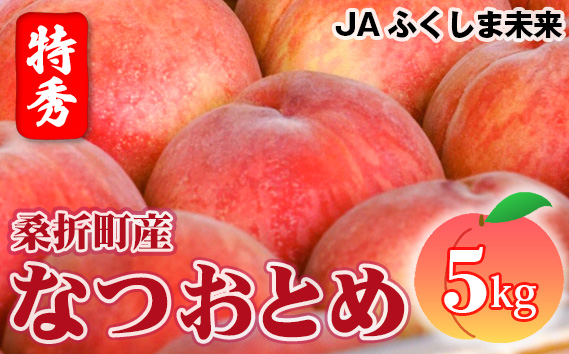 もも【なつおとめ・2026年産】特秀　5kg　桑折町産　JAふくしま未来　桃 No.174