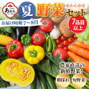 【ふるさと納税】【先行予約】農家直送 夏野菜セット 1箱 7品目以上 《元気に育った新鮮野菜！》／ 5000円 季節 夏 野菜 ボックス BOX セット セレクト 農家 おまかせ 多品目 旬 詰め合わせ ※2025年7月中旬以降発送