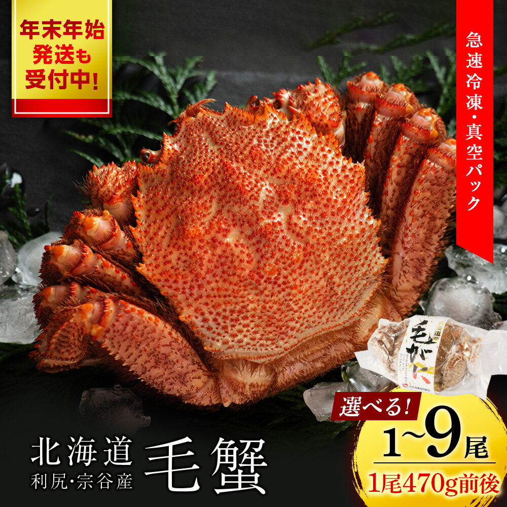 【ふるさと納税】 利尻・宗谷産 毛ガニ 小サイズ（470g前後）選べる1尾〜9尾＜利尻漁業協同組合＞北海道ふるさと納税 利尻富士町 ふるさと納税 北海道 海鮮 北海道 カニ 蟹 毛ガニ 毛蟹 蟹みそ 濃厚 蟹棒 蟹甲羅