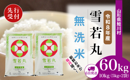 ＜令和8年産米先行受付＞ 山形県産 雪若丸 【無洗米】60kg定期便(10kg×6回)　配送時期指定できます！
