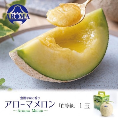 【通年出荷】アローマメロン(白等級) 1玉入【配送不可地域：離島・北海道・沖縄県】【1170106】