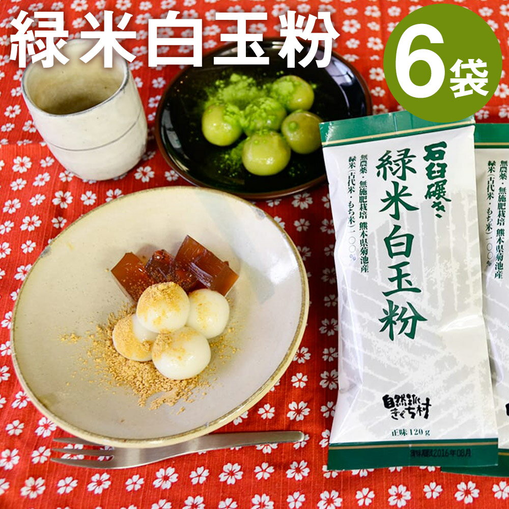 【ふるさと納税】きくち村の緑米白玉粉 120g×6袋 合計720g 自然派きくち村(有限会社渡辺商店) 《30日以内に出荷予定(土日祝除く)》 自然栽培の緑米使用 白玉 粉末 もち米 製菓用 和菓子 熊本県産 九州産 国産 送料無料