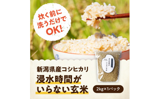 【浸水時間がいらない玄米 2kg】令和8年産 阿賀野市産コシヒカリ「米屋のこだわり阿賀野市産」 玄米 かたぎり❘ 新潟県産コシヒカリ 新潟産コシヒカリ 阿賀野産コシヒカリ 新潟県産こしひかり こしひかり お米 米 玄米 新米  2キロ 新米 新潟県 阿賀野市 1E11011
