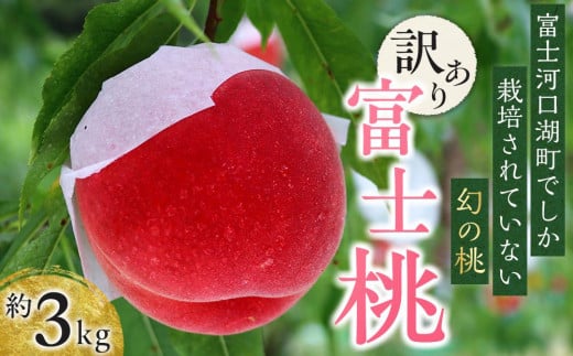 
            【レビューキャンペーン実施中】【2025年8月中旬発送】訳あり☆オリジナルブランド富士桃『訳あり』 約3キロ 河口湖で初の桃栽培！ 先行予約
          