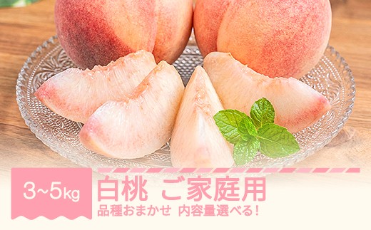 
                  【先行予約】 もも 品種おまかせ 白桃(ご家庭用) 重量を選べる 令和8年産 2026年産 tf-mowxx
                