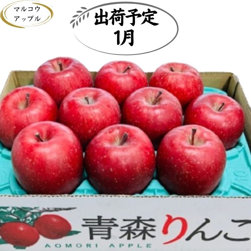 【ふるさと納税】【1月発送】特A 濃厚サンふじ約3kg 糖度13度以上【青森りんご・マルコウアップル】 　お届け：2026年1月6日～2026年1月31日