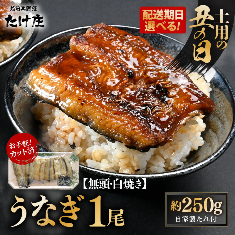 【ふるさと納税】【50セット限定】無頭 うなぎ 白焼き1尾 （約250g） 3カット済 特製自家製たれ付き 【冷凍】 【選べる発送期日：通常発送 / 土用の丑の日】 【ウナギ 鰻 蒲焼 鰻蒲焼 鰻白焼 肉厚 ジューシー 惣菜 和食 簡単調理】
