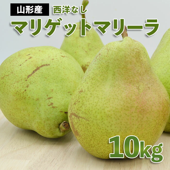 西洋なし マリゲットマリーラ 秀 10kg 14〜30玉