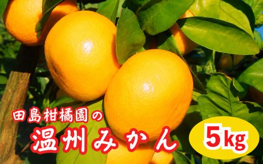 
                  田島柑橘園の「温州みかん」5kg
                