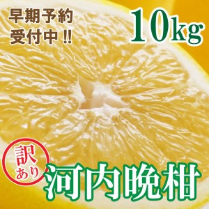 【10営業日以内発送】訳あり 河内晩柑 ばんかん 約 9kg 不揃い 大小ミックス 傷あり 期間限定 すぐ届く あっさり すっきり 甘い 柑橘 かんきつ フルーツ 果物 くだもの 厳選 愛媛 みかん 蜜柑 愛南 ご当地 ブランド 野菜 サラダ ピール ゼリー お菓子 デザート マルエム直販 愛媛県 愛南町