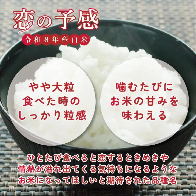 【令和8年産】 新米 恋の予感 白米 5kg 減農薬 こいのよかん ひこにゃん米 米 ごはん 滋賀 彦根
