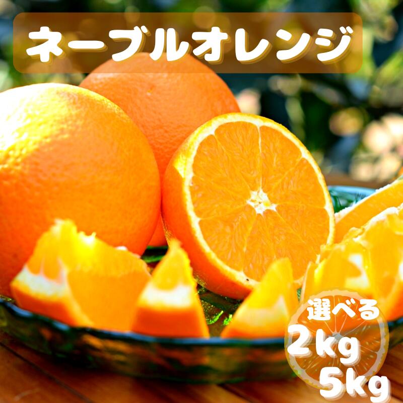 【ふるさと納税】【先行予約】ネーブルオレンジ【選べる容量2kg 5kg】※2026年3月上旬以降随時発送予定 / 田辺市 和歌山 みかん ミカン 柑橘 温州みかん フルーツ オレンジ ネーブル