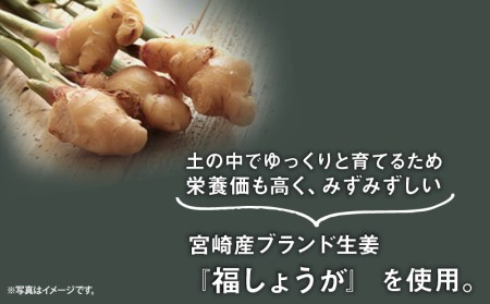 宮崎産ブランド生姜のみを使用 『HOLIC MAKERS』 クラフトジンジャーシロップ 300ml×2本 ジンジャーシロップ 300ml 2本 ジンジャー シロップ 希釈 宮崎産 国産 福しょうが 瓶