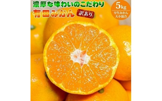 
                  【2026年先行予約】（訳あり 家庭用）濃厚な味わいのこだわり 有田みかん 5kg (早生みかん・大小混合)_EA6034n
                