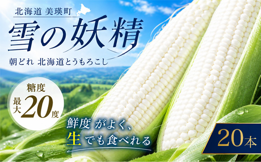 【令和9年産先行予約】とうもろこし（雪の妖精）白 20本 黒木農場