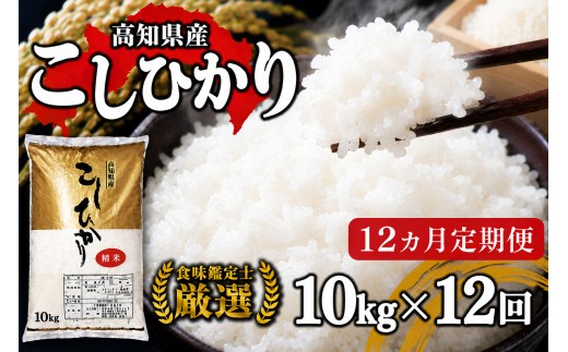 令和8年産 新米 コシヒカリ 定期便 10kg 12回 8月中旬発送開始 農家直送 高知県産 清流 新荘川流域 清流育ち 早場米 白米 精米 お米 おこめ ご飯 ごはん おにぎり こめ 食味鑑定士 国産 産地直送 高知県 須崎市