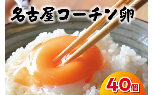 日本を代表する地鶏　名古屋コーチン卵　40個入 ｜ブランドたまご ブランド卵 ブランド玉子 卵 たまご タマゴ 玉子 鶏卵 産みたて 新鮮 こだわり 上質 濃厚 卵焼き 卵かけご飯 国産 阿久比町産  特産 送料無料 愛知県 阿久比町