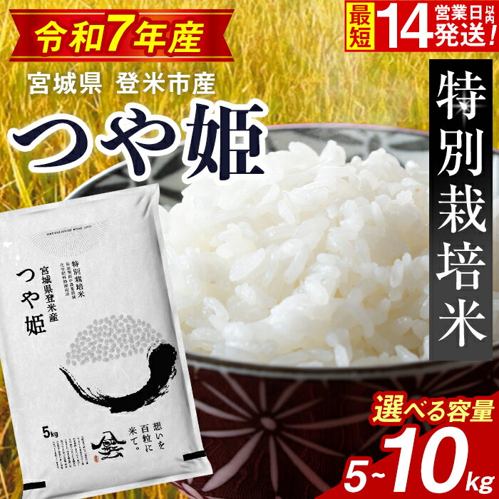 【ふるさと納税】【14営業日以内に発送予定】≪令和7年産≫ 特別栽培米 つや姫 5kg〜10kg 選べる容量 登米市産 お米 おこめ 米 コメ 白米 ご飯 ごはん おにぎり お弁当 【登米ライスサービス株式会社】tm154・tm155