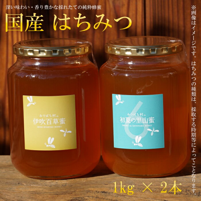 【ふるさと納税】E-25 国産はちみつ300g 2本セット